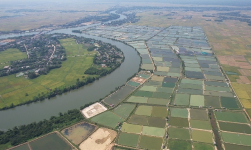 Quảng Trị đã xử lý nhiều doanh nghiệp gây ô nhiễm môi trường  