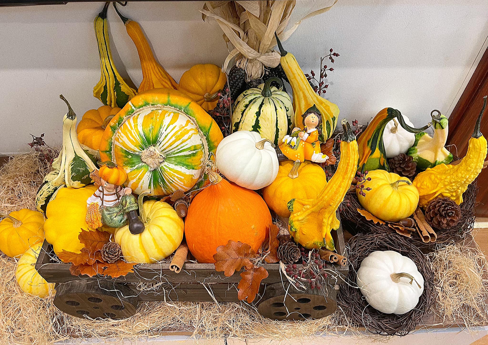 C&aacute;c loại b&iacute; đột biến mini được người d&acirc;n ưa chuộng hơn cả v&igrave; vừa độc đ&aacute;o, mang sắc thu, lại&nbsp;c&oacute; thể để được từ 3 - 6 th&aacute;ng.