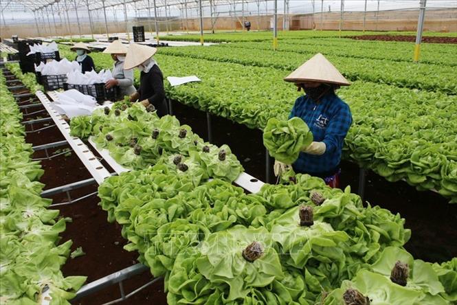 Tiêu dùng xanh là xu hướng tất yếu