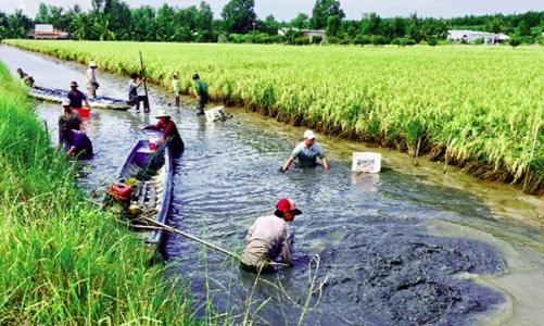 Phát triển ngành hàng tôm ít phát thải và bền vững