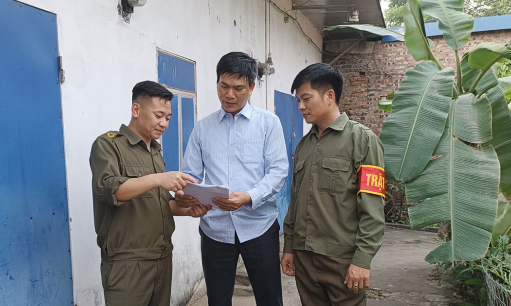 Ảnh minh họa