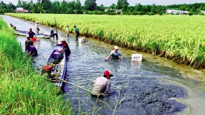 2023 shrimp exports expected to hit $4.3bln