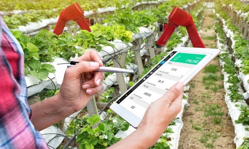 Phát động cuộc thi “Sáng tạo logo và slogan về sản xuất và tiêu dùng bền vững”