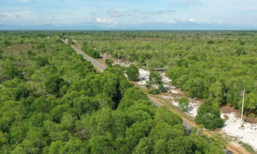 Ba tỉnh Tây Nguyên kiến nghị gỡ vướng trong đầu tư đất lâm nghiệp