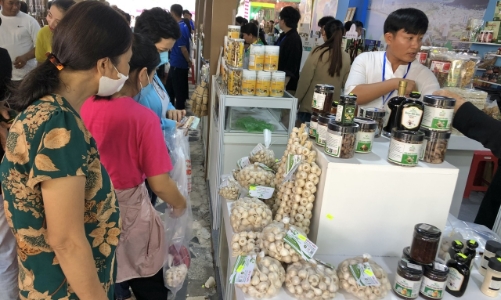 Làm cầu nối thương mại, TP.HCM tổ chức tuần lễ OCOP với gần 1.200 sản phẩm của 5 vùng miền