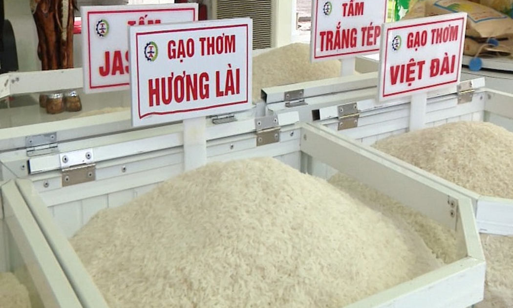 Giá gạo trong nước tăng theo giá gạo xuất khẩu đẩy CPI tháng 10 tăng nhẹ.