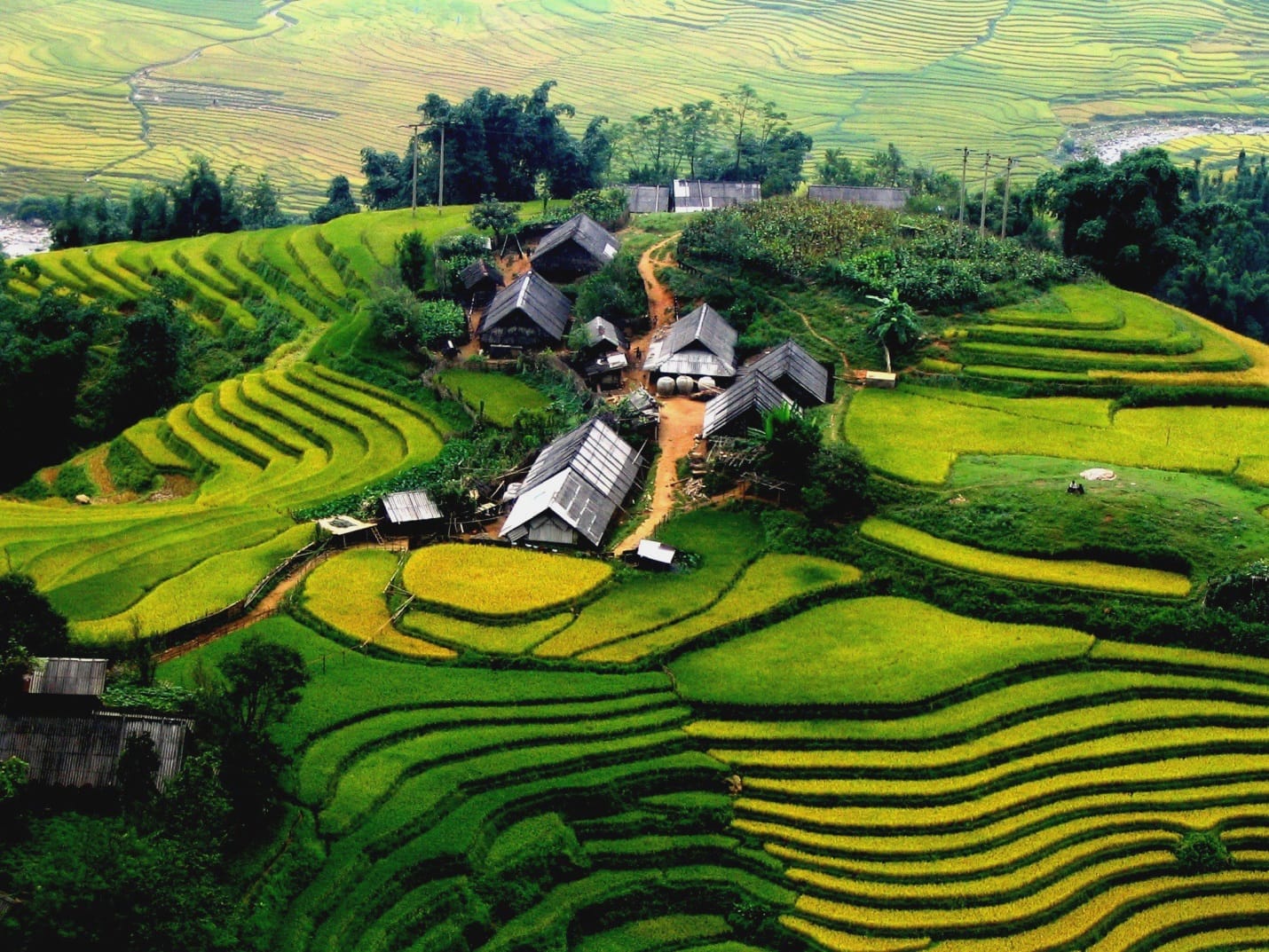 Ảnh minh họa.
