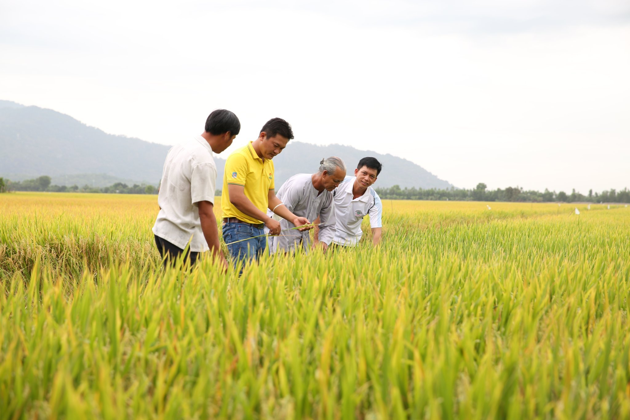 C&aacute;n bộ c&ocirc;ng nh&acirc;n vi&ecirc;n Ph&acirc;n b&oacute;n C&agrave; Mau với niềm vui trong lao động.