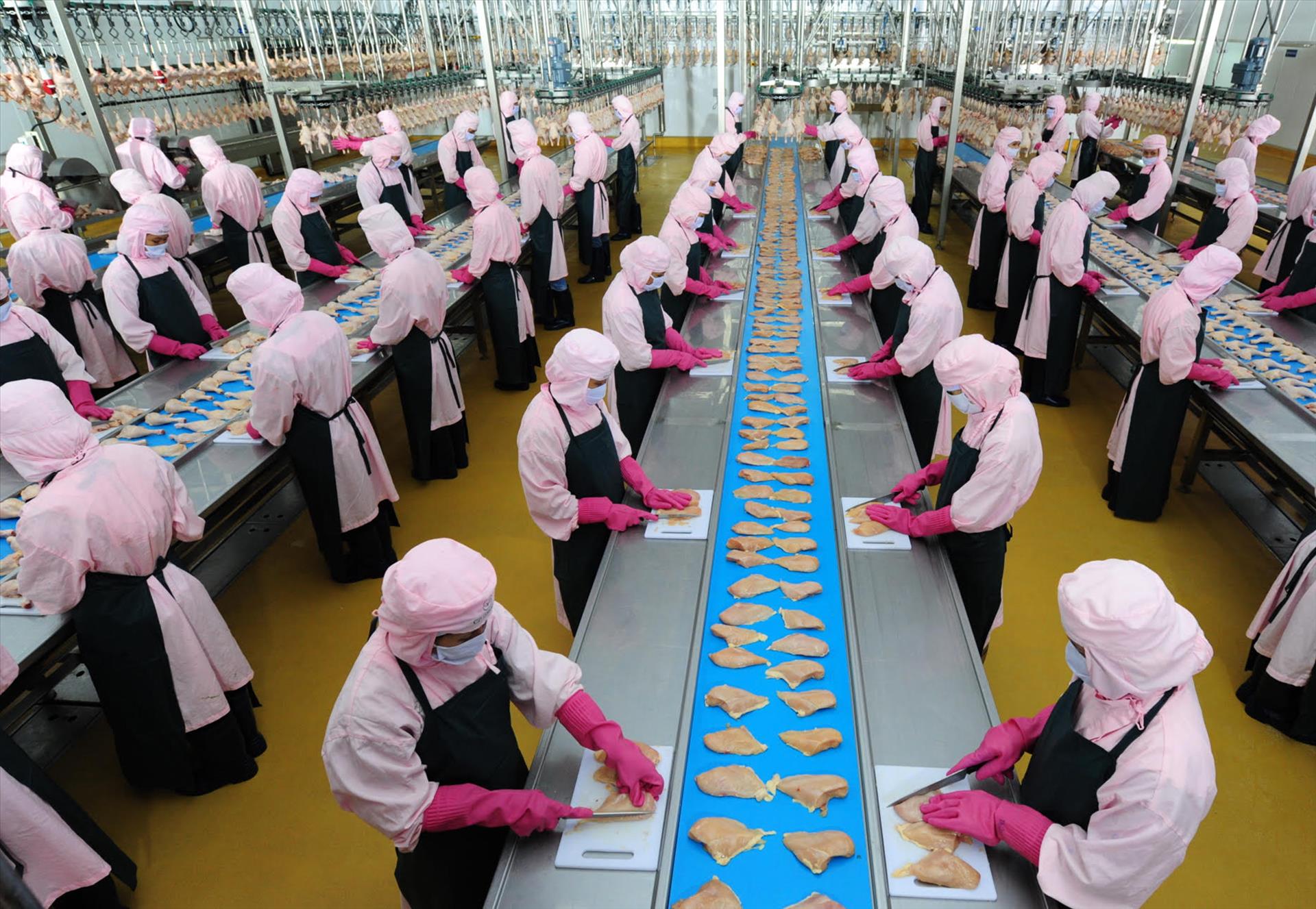 Nhiều&nbsp;doanh nghiệp đ&atilde; bắt đầu l&ecirc;n kế hoạch r&agrave; so&aacute;t lại nguồn h&agrave;ng cũng như tập trung cho việc sản xuất h&agrave;ng Tết.&nbsp;