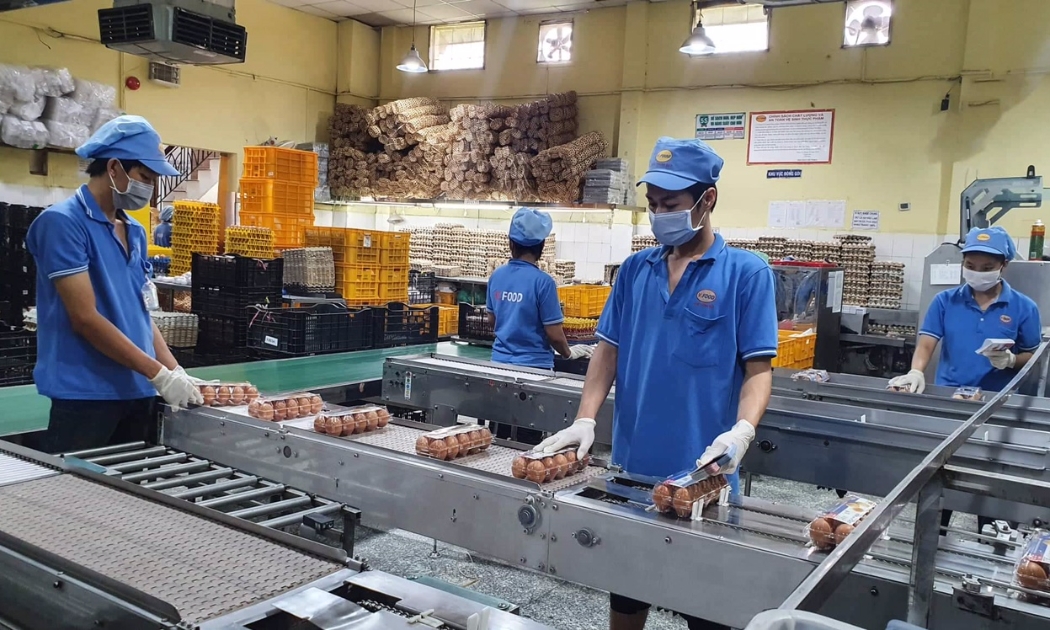 Trong tháng 10, TP.HCM tiếp nhận hơn 12.000 trường hợp nộp hồ sơ đề nghị hưởng trợ cấp thất nghiệp - Ảnh minh họa