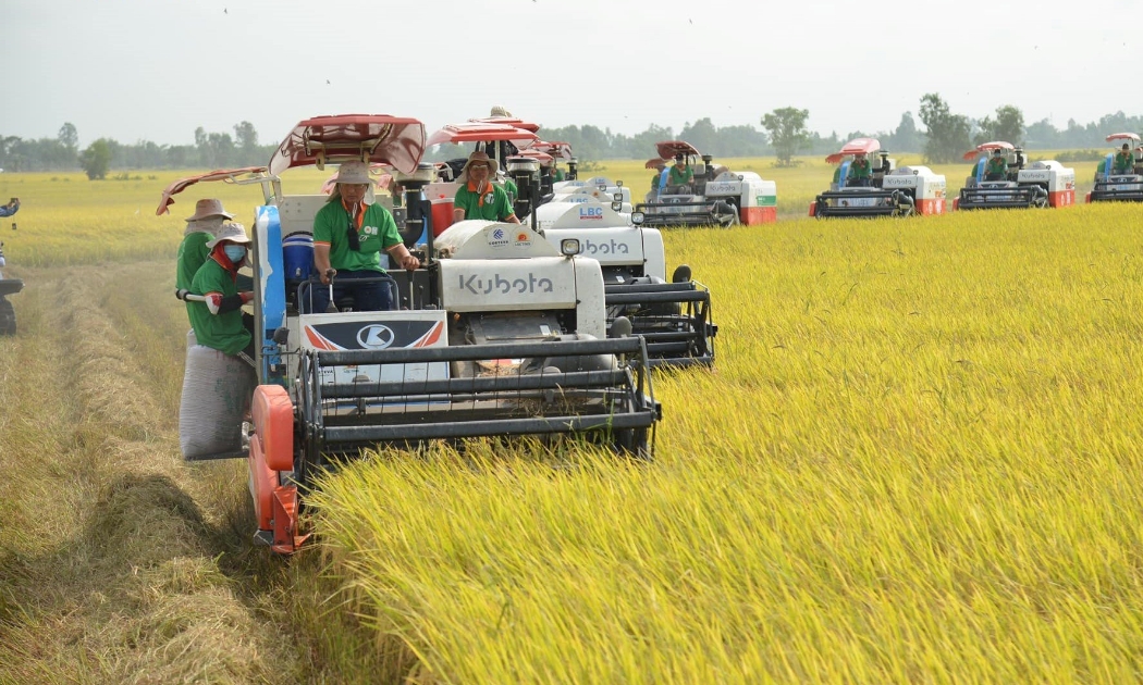Việt Nam là quốc gia có nền tảng nông nghiệp đa dạng. Ảnh minh hoạ.