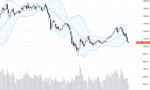Blog chứng khoán: Cổ phiếu ngược hướng chỉ số ngày càng nhiều