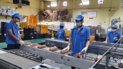 More job cuts expected in HCMC by year’s-end