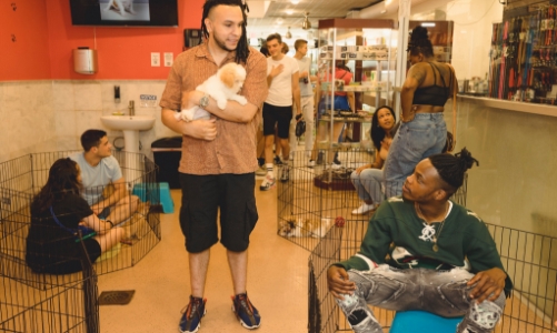 Ngành công nghiệp thú cưng “ăn nên làm ra” bất chấp lạm phát