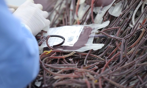 Các bệnh viện vùng Đồng bằng sông Cửu Long tái diễn tình trạng thiếu máu