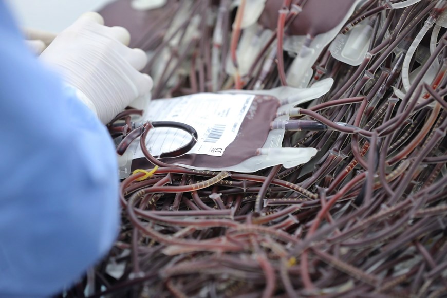 Ảnh minh họa - TTXVN. 