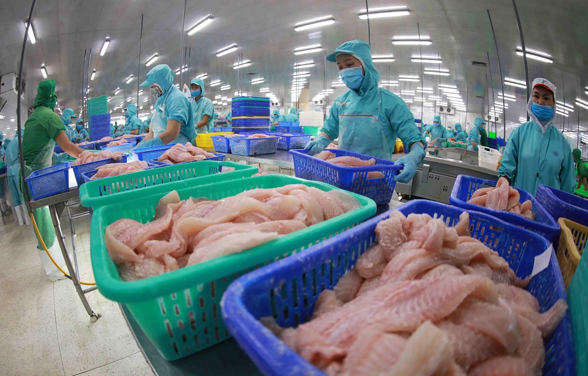 8 tháng đầu năm 2023, thuỷ sản Việt Nam nhập khẩu vào EU giảm tới 32%.