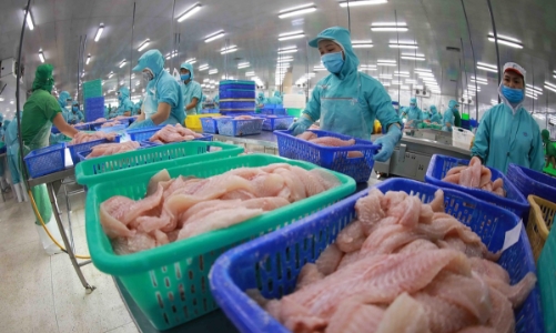 EU sẽ xem xét gỡ bỏ “thẻ vàng” IUU nếu Việt Nam có triển vọng tốt trong đánh bắt thực tế