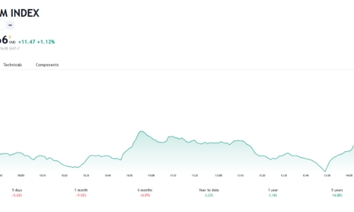 Thị trường có thể xuất hiện nhịp hồi phục kỹ thuật, tuy nhiên rủi ro ngắn hạn là khá cao