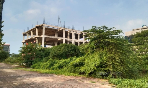 Hà Nội xem xét, xử lý những vi phạm tồn tại của khu đô thị Thanh Hà