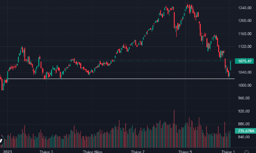 Rực rỡ, 145 cổ phiếu kịch trần, VN-Index tăng mạnh nhất từ đầu năm