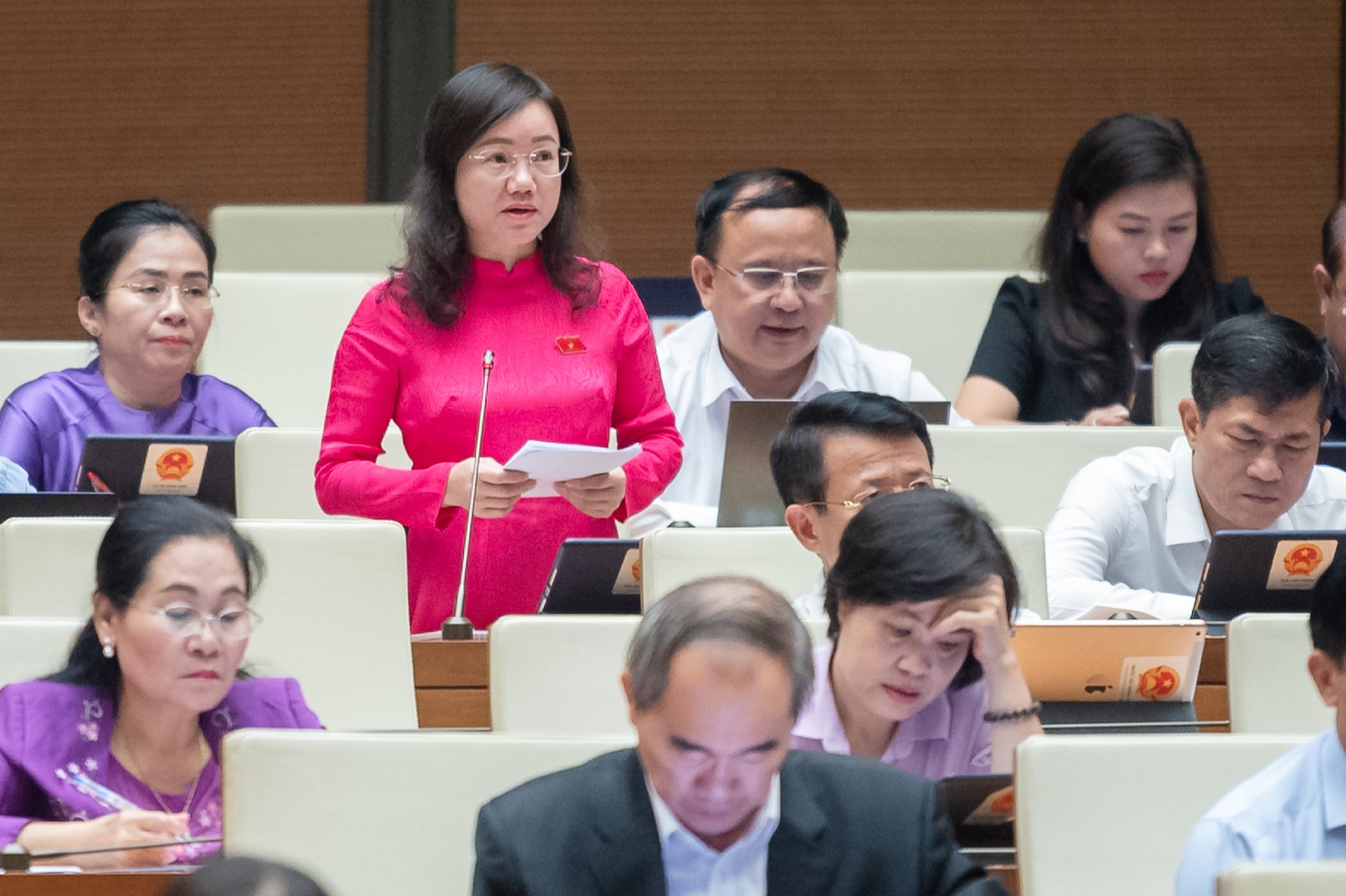 Đại biểu Th&aacute;i Thị An Chung: 