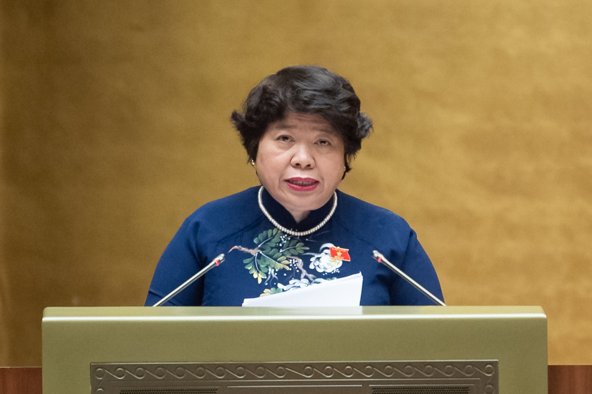 Chủ nhiệm Ủy ban X&atilde; hội của Quốc hội Nguyễn Th&uacute;y Anh b&aacute;o c&aacute;o thẩm tra dự &aacute;n Luật. Ảnh - Quochoi.vn.