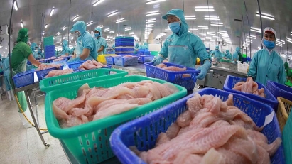 Seafood exports to EU fall significantly