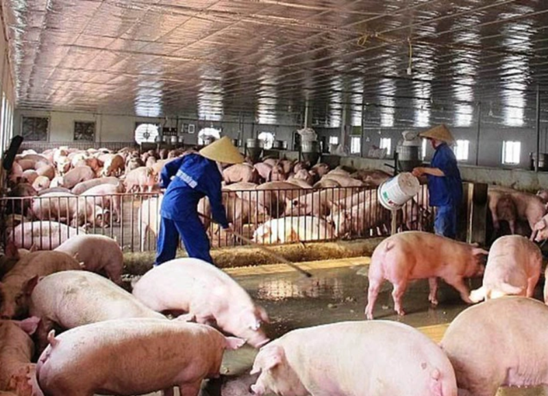 Livestock farming must work to reduce emissions