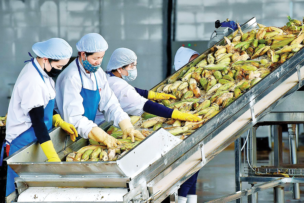 Nhiều nông sản Việt muốn xuất khẩu vào EU sẽ phải tuân thủ Quy định EUDR