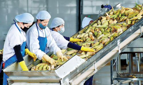 Cần hành động sớm để nông sản Việt thích ứng với đạo luật EUDR 