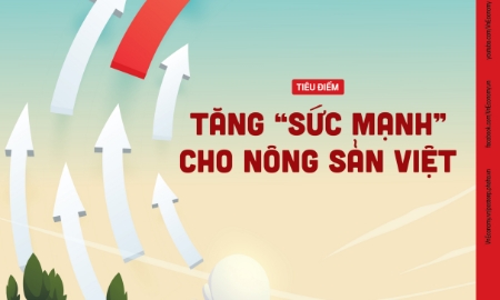 Tạp chí Kinh tế Việt Nam số 45-2023