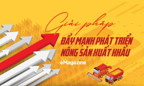 Giải pháp đẩy mạnh phát triển nông sản xuất khẩu