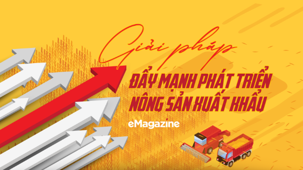 Giải pháp đẩy mạnh phát triển nông sản xuất khẩu