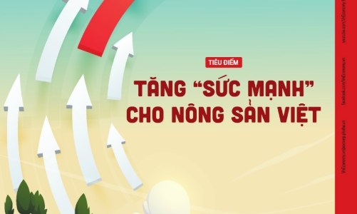 Tạp chí Kinh tế Việt Nam số 45-2023