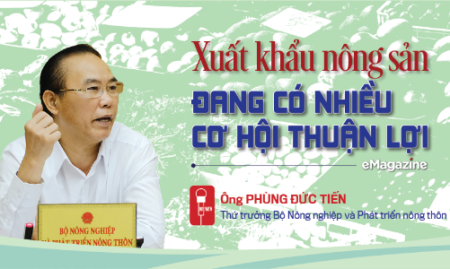 Xuất khẩu nông sản đang có nhiều cơ hội thuận lợi