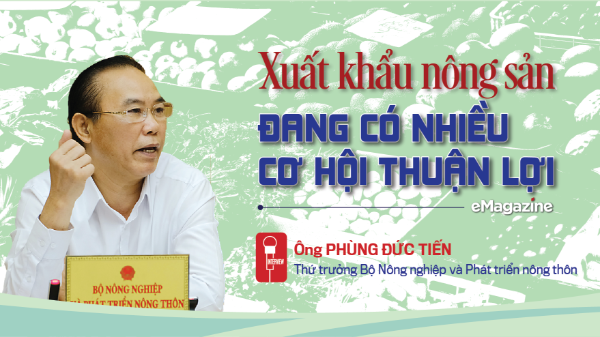 Xuất khẩu nông sản đang có nhiều cơ hội thuận lợi