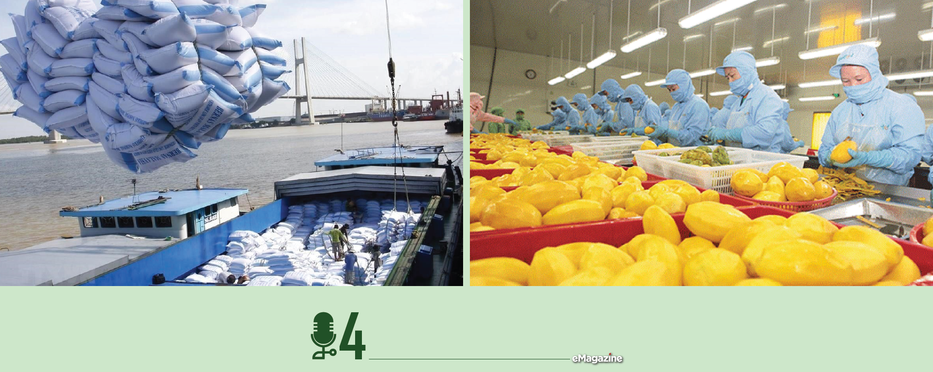 Xuất khẩu nông sản đang có nhiều cơ hội thuận lợi - Ảnh 5