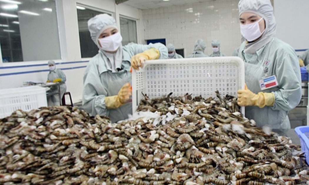 Sản phẩm tôm Việt Nam đang bị Hoa Kỳ áp thuế chống bán phá giá từ năm 2004 đến nay.