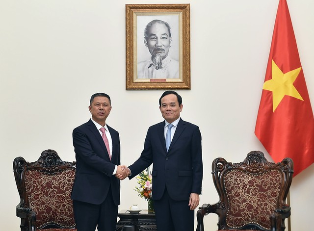 Leader of Trina Solar meets Deputy PM