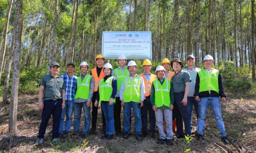 Phấn đấu có 1 triệu ha rừng trồng cây gỗ lớn vào năm 2030