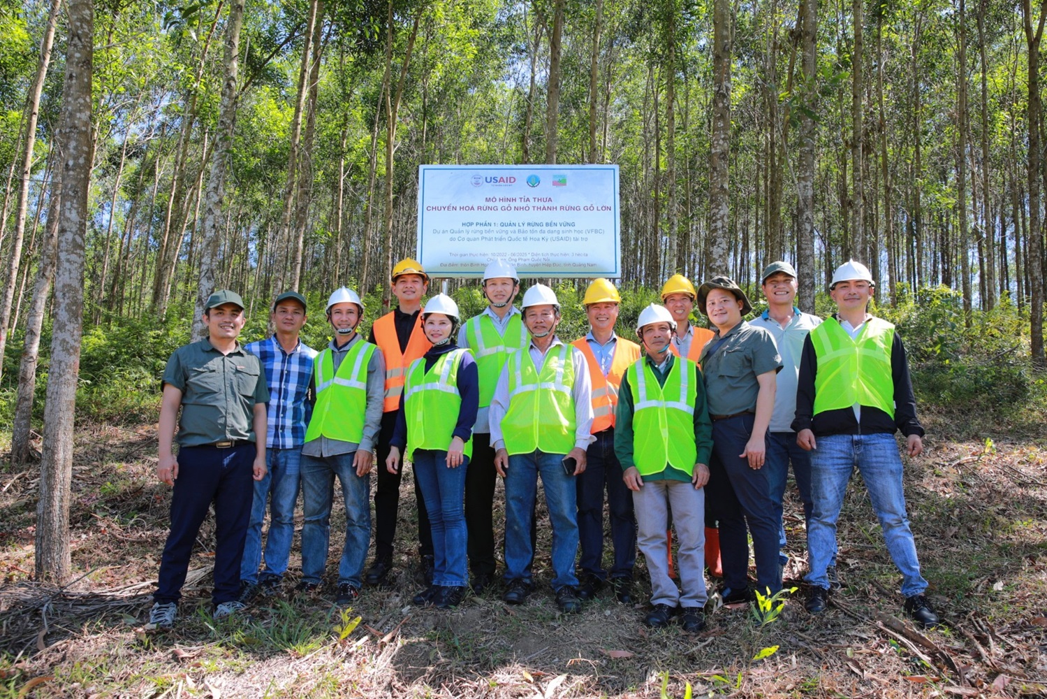 Chuyển hóa rừng gỗ nhỏ thành rừng cây gỗ lớn, đạt chứng chỉ Rừng bền vững.