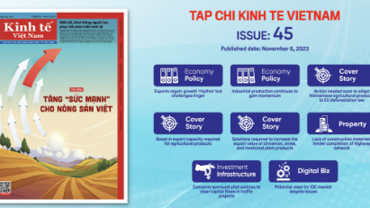 Tap chi Kinh te Viet Nam, Issue 45