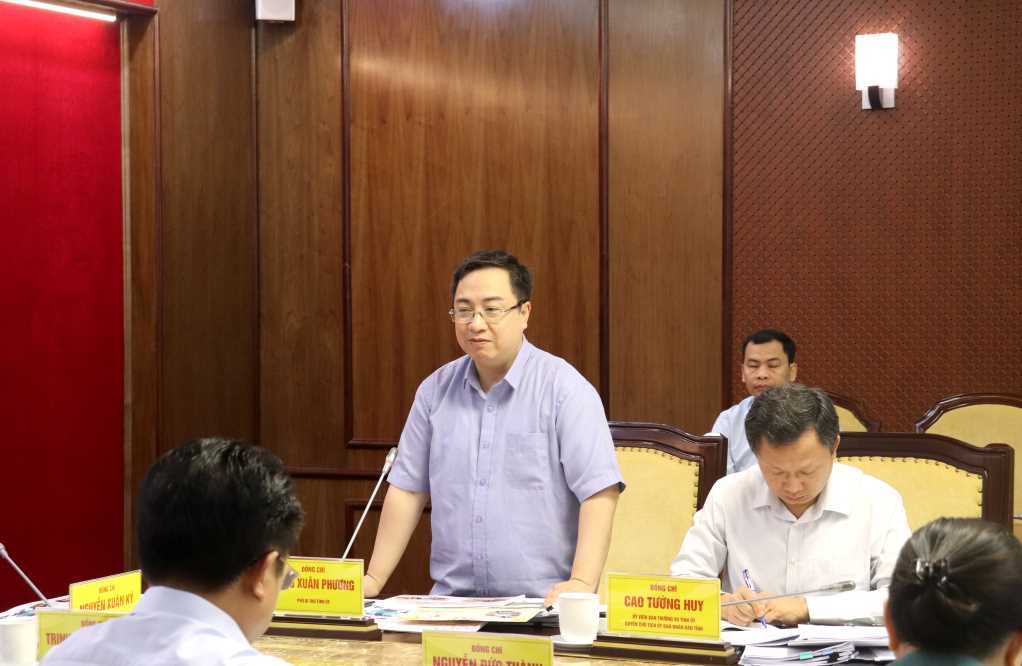 Ông Đặng Xuân Phương, Phó Bí thư Tỉnh ủy, phát biểu tại cuộc họp.