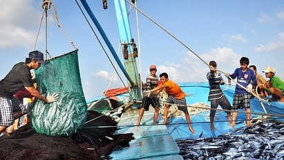 Government calls for stronger measures to fight illegal fishing