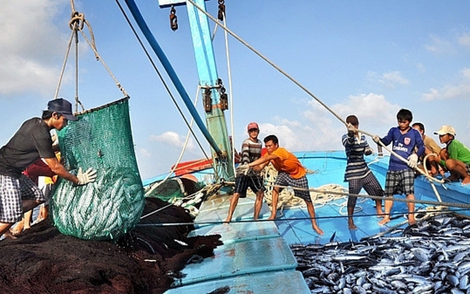 Government calls for stronger measures to fight illegal fishing
