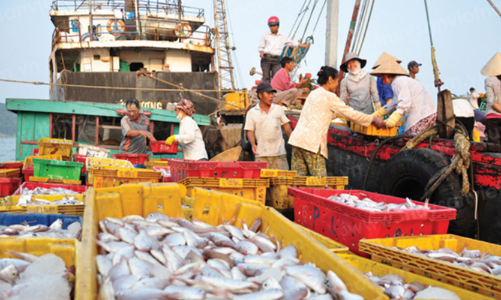 Phó Thủ tướng Trần Lưu Quang: Mục tiêu cao nhất là gỡ được “thẻ vàng” IUU