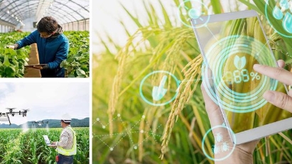 Agricultural data architecture map set to be launched in November
