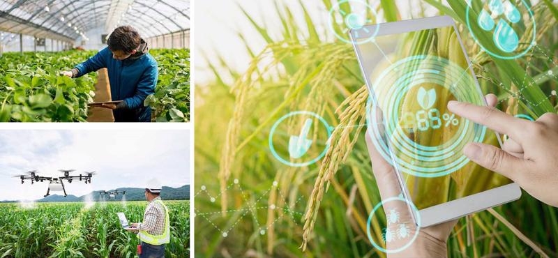 Agricultural data architecture map set to be launched in November