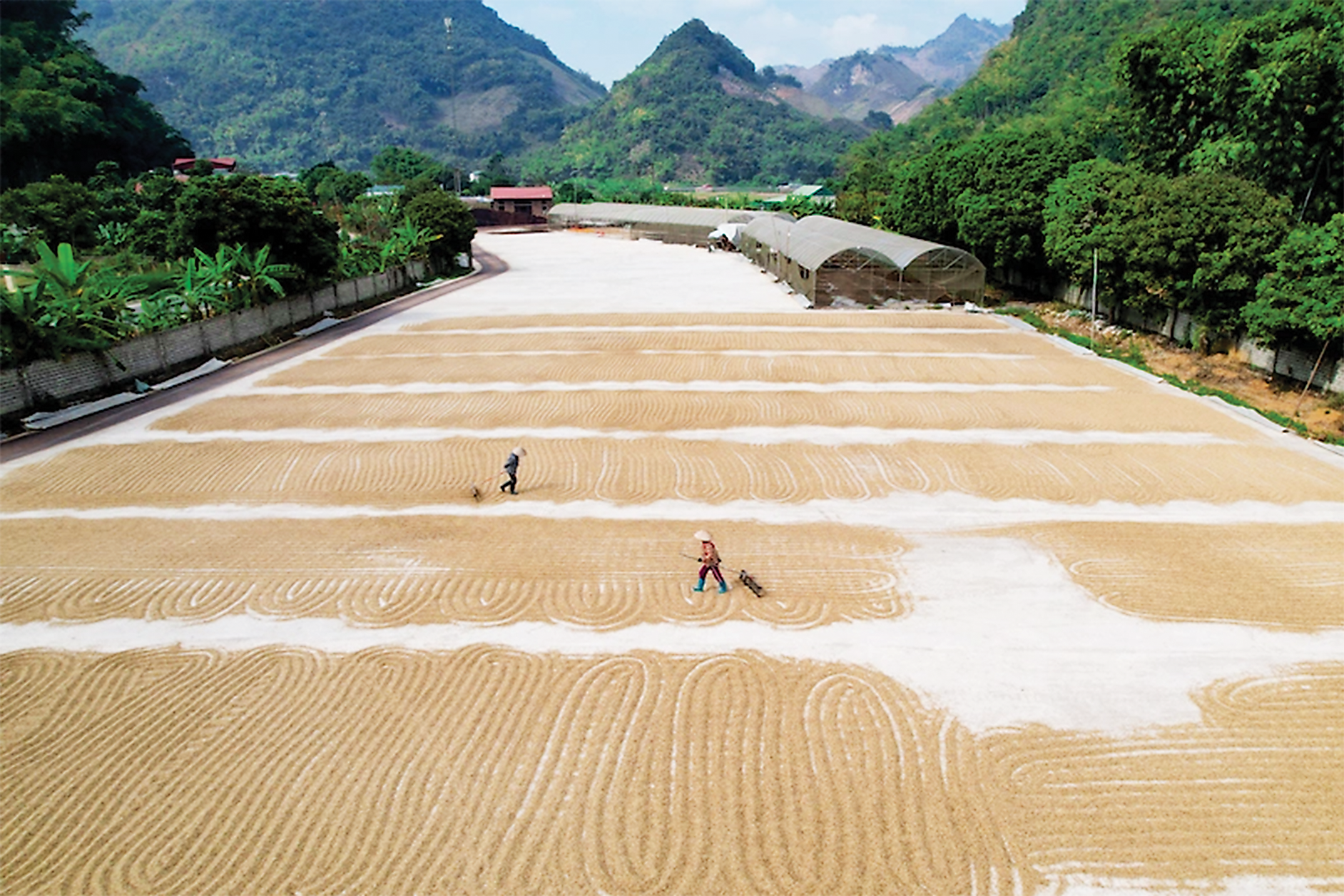 N&ocirc;ng nghiệp v&agrave; n&ocirc;ng th&ocirc;n cần phải chuyển đổi theo hướng kinh tế tuần ho&agrave;n, giảm ph&aacute;t thải